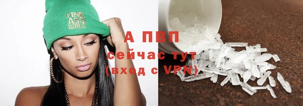 гидра Арсеньев