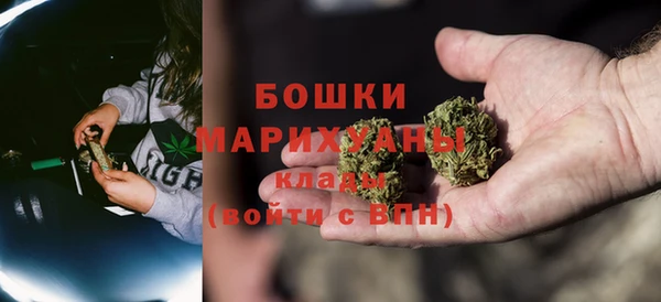 гидра Арсеньев