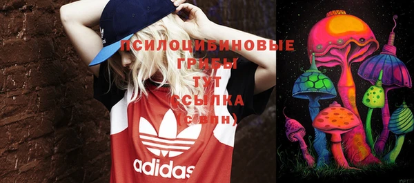 ECSTASY Аркадак