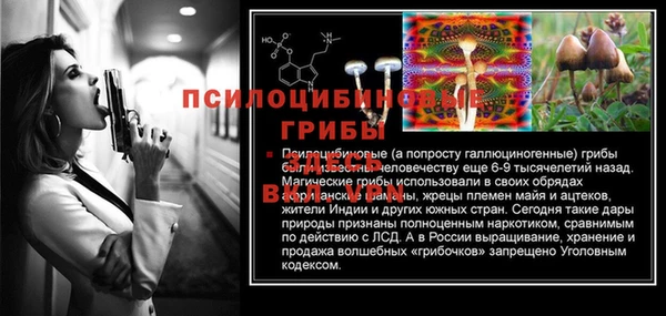 гидра Арсеньев