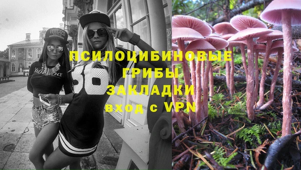 ПСИЛОЦИБИНОВЫЕ ГРИБЫ Армянск