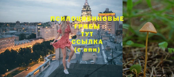 ECSTASY Аркадак