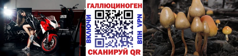 где найти   Покачи  Галлюциногенные грибы прущие грибы 